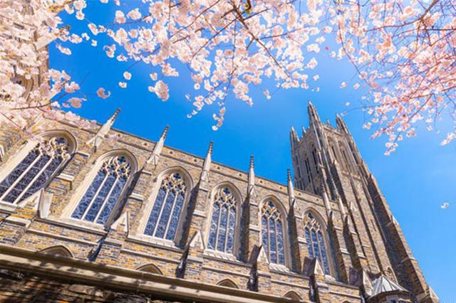 ������ѧ����ÿ�궼�ڷ����仯��������ѧ���뷽����Щ��Ǳ����ȴ��ͨ�õġ���ʵ����������У�ͬѧ���߼ҳ����������ѯ�ٷ����ϻ���ͨ��������ʽ����ȡѧУ����¼ȡ��Ҫ���׼�������֪����������е�һЩ��Ǳ���򡱣���������������·�����п���Ϊ�������������